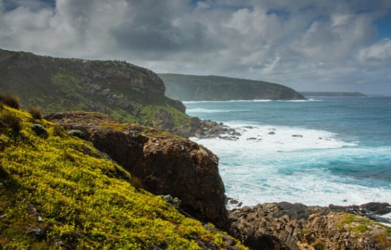 Lire la suite à propos de l’article Kangaroo Island – Une île paradisiaque australienne